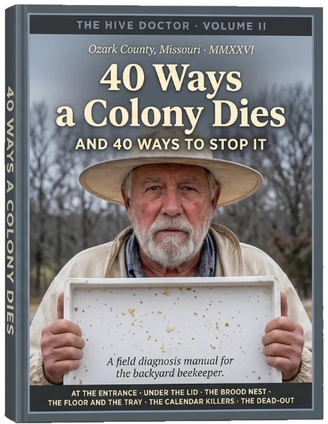 40 Ways a Colony Dies, and 40 Ways to Stop It